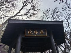 -句容茅山景区