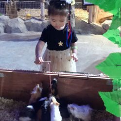 -酷嗒动物文化乐园(cutezoo西溪乐天城店)