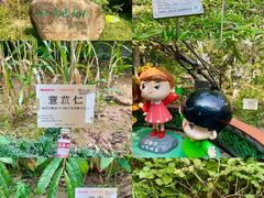-广州神农草堂中医药博物馆
