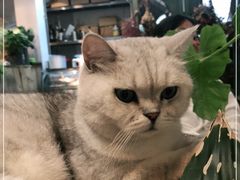 -小时光咖啡馆(北锣鼓巷店)