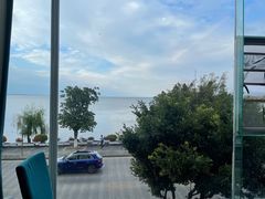 -野菌皇海景野生菌火锅(滨海大道店)