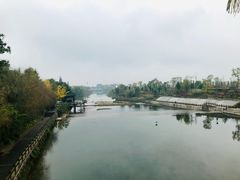 -张醪糟(街子店)