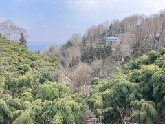 -莫干山风景区