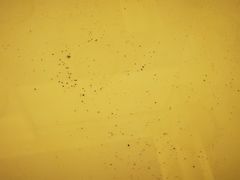 -舟山希尔顿酒店