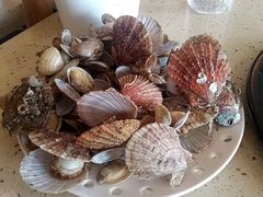 -港畔赶海蒸汽海鲜烧烤自助(仙螺岛店)