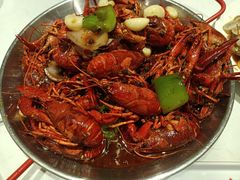 -杨氏青龙虾·羊蝎子(托乐嘉店)