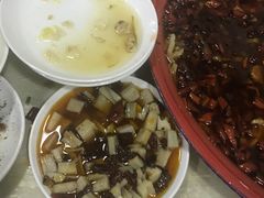 -东吴霸王兔(松青路店)