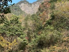 -大鄣山卧龙谷景区