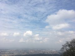 -紫金山山顶公园