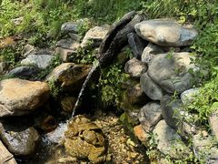 -大连天门山国家森林公园