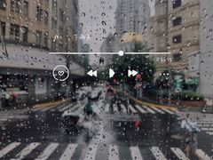 -BUS TOUR观光巴士