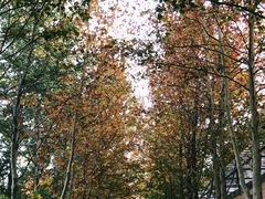 -春晖园度假酒店温泉