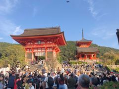 -清水寺