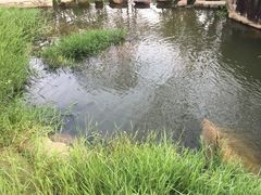 -清境桃源