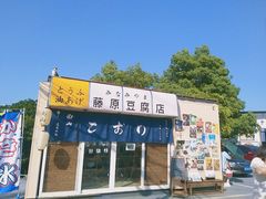 -南山植物园