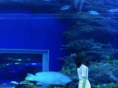 -成都浩海立方海洋公园