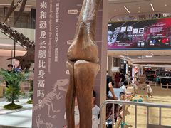 -上海七宝领展广场