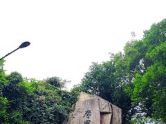 -广州市白云山风景名胜区