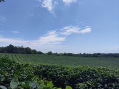 -敬亭山风景名胜区