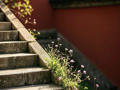 -开福禅寺