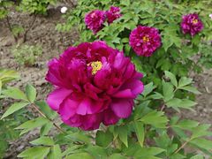 -江南大学(蠡湖校区)