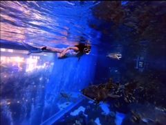 -成都浩海立方海洋公园