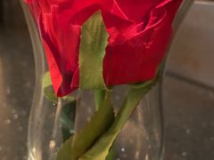 -华豫川酒家(大卫城店)