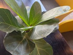 -脉冲品质汽美·贴膜(闵行店)