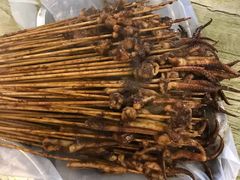 鱿鱼嘴-十里铺铁板鱿鱼