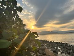 -深圳湾公园(南山区)