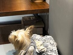 -Line 咖啡(石厦花园店)