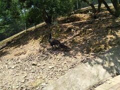 -泉州海丝野生动物世界