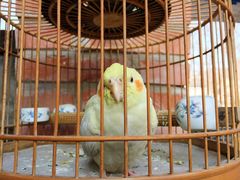 -南窖乡水峪村山情农家