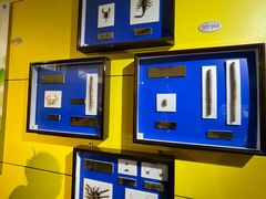 -上海昆虫博物馆