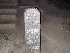 -梧桐山风景名胜区