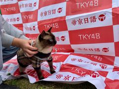 -帝京日语(春熙路旗舰校区)