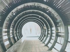 -永定河休闲森林公园