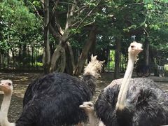 -南昌动物园