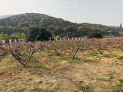 -龙寺生态园