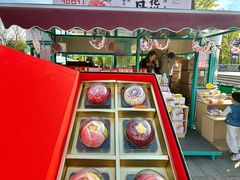 -曹州牡丹园