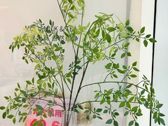 -小茉庐和牛自助火锅(龙湖万达店)