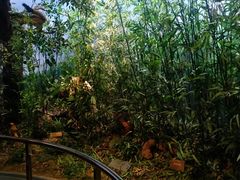 -陕西自然博物馆