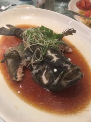 -首都机场东海康得思酒店婚宴·宴会厅·宝宝宴·生日宴