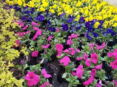 -哈尔滨文化公园