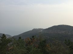 -怪坡茶馆