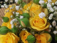 -循礼门鲜花花市(武汉循礼门店)