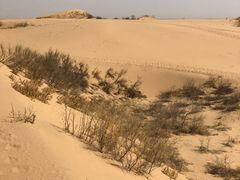 -黄沙古渡原生态旅游区
