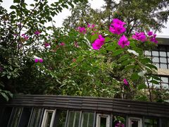 -浣花锦绣(杜甫草堂店)