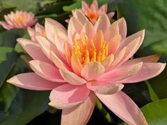 -上海来福士广场