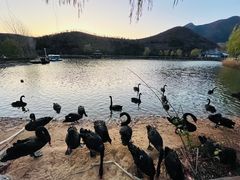 -静之湖度假区